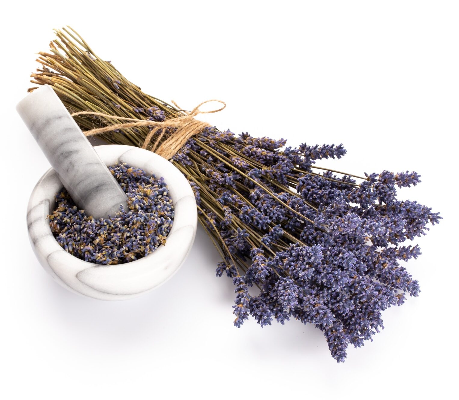 lavender spa products with dried lavender flowers on a isolated background.